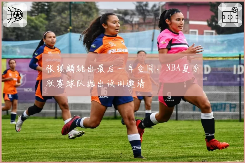 张镇麟跳出最后一年合同，NBA夏季联赛球队抛出试训邀请