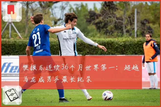樊振东连续36个月世界第一:超越马龙成男乒最长纪录