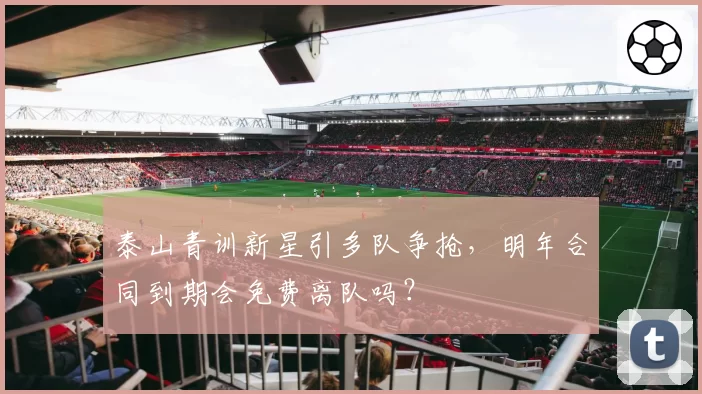 泰山青训新星引多队争抢,明年合同到期会免费离队吗?